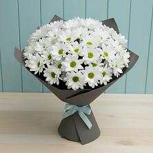 Букет цветов из:  Хризантемы в Камешково