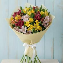 Букет цветов из:  Альстромерии в Камешково