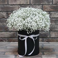 Цветочная композиция из Гипсофила в шляпной коробке в Камешково