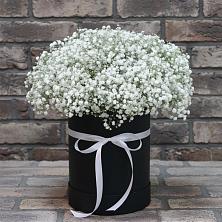 Цветочная композиция из Гипсофила в шляпной коробке в Камешково