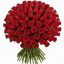 Букет Красные розы Чери Лав в Камешково