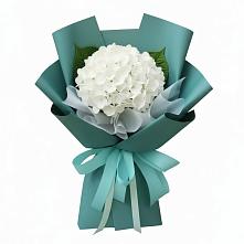 Букет цветов из:  Гортензия в Камешково